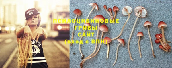 гашик Верхний Тагил