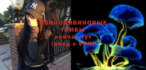 гашик Верхний Тагил