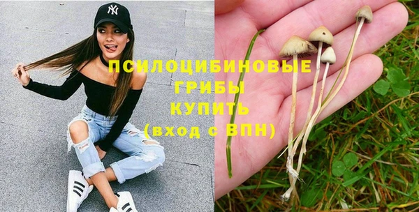 каннабис Верея